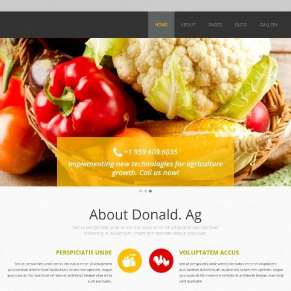 Agriculture Co